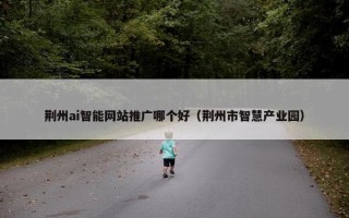 荆州ai智能网站推广哪个好（荆州市智慧产业园）