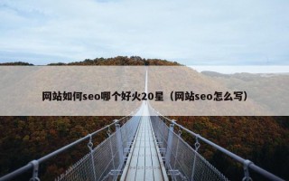 网站如何seo哪个好火20星（网站seo怎么写）