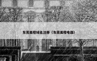 东莞美橙域名注册（东莞美橙电器）