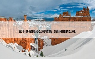 三十多家网络公司被抓（搞网络的公司）
