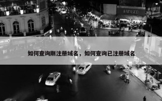 如何查询刚注册域名，如何查询已注册域名