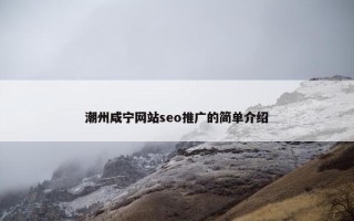 潮州咸宁网站seo推广的简单介绍