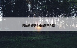 网站模板哪个好的简单介绍