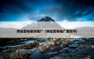 网站营销策划推广（网站营销推广策划书）