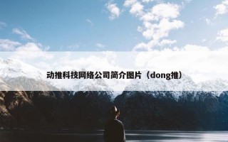动推科技网络公司简介图片（dong推）