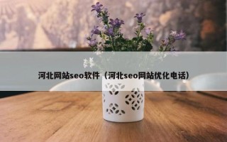河北网站seo软件（河北seo网站优化电话）