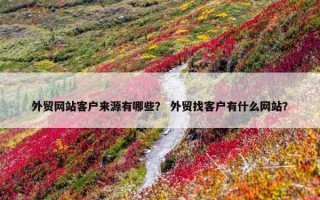 外贸网站客户来源有哪些？ 外贸找客户有什么网站？