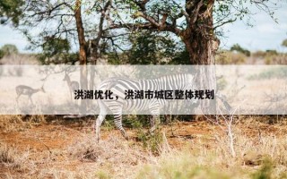 洪湖优化，洪湖市城区整体规划