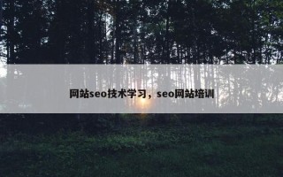 网站seo技术学习，seo网站培训