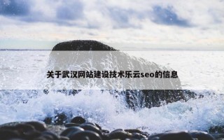 关于武汉网站建设技术乐云seo的信息