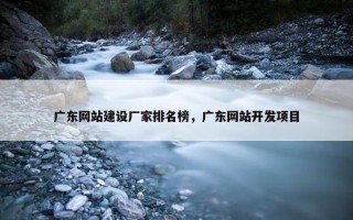 广东网站建设厂家排名榜，广东网站开发项目