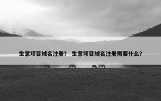 生意项目域名注册？ 生意项目域名注册需要什么？