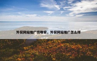 外贸网站推广找哪家，外贸网站推广怎么样