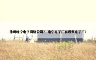 徐州睢宁电子网络公司？ 睢宁电子厂有哪些电子厂？