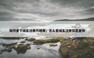 如何查下域名注册代理商，怎么查域名注册信息查询