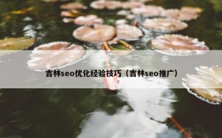 吉林seo优化经验技巧（吉林seo推广）