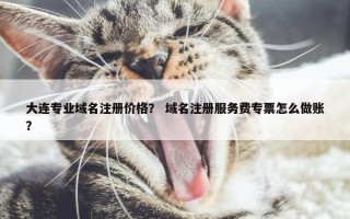 大连专业域名注册价格？ 域名注册服务费专票怎么做账？