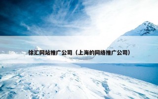 徐汇网站推广公司（上海的网络推广公司）
