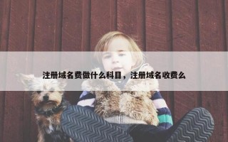 注册域名费做什么科目，注册域名收费么