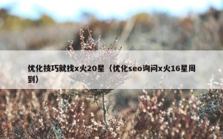 优化技巧就找x火20星（优化seo询问x火16星周到）