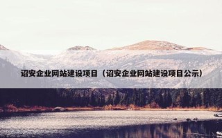 诏安企业网站建设项目（诏安企业网站建设项目公示）