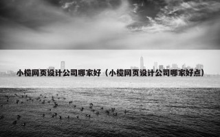 小榄网页设计公司哪家好（小榄网页设计公司哪家好点）