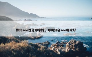 郑州seo优化哪家好，郑州知名seo哪家好