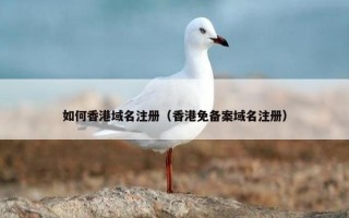 如何香港域名注册（香港免备案域名注册）