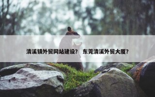 清溪镇外贸网站建设？ 东莞清溪外贸大厦？