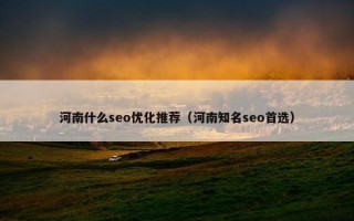 河南什么seo优化推荐（河南知名seo首选）
