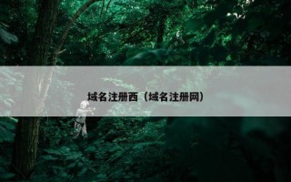 域名注册西（域名注册网）