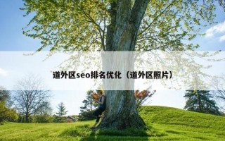 道外区seo排名优化（道外区照片）