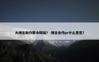 大博主制作聚合网站？ 博主合作pr什么意思？