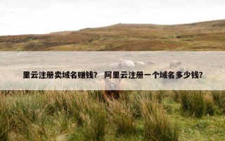 里云注册卖域名赚钱？ 阿里云注册一个域名多少钱？