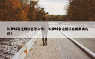 狗爹域名注册信息怎么填？ 狗爹域名注册信息需要实名吗？