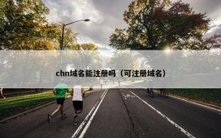 chn域名能注册吗（可注册域名）