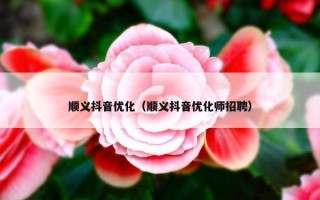 顺义抖音优化（顺义抖音优化师招聘）