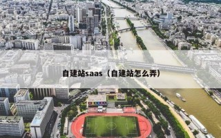 自建站saas（自建站怎么弄）