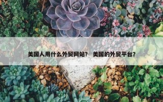 美国人用什么外贸网站？ 美国的外贸平台？