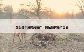 怎么做个或网站推广，网站如何推广出去