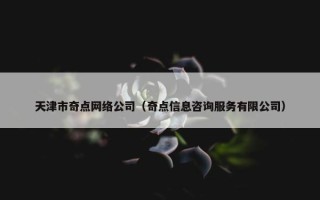 天津市奇点网络公司（奇点信息咨询服务有限公司）