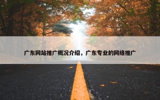 广东网站推广概况介绍，广东专业的网络推广