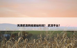 天津武清网络建站科技？ 武清平台？