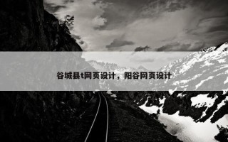谷城县t网页设计，阳谷网页设计