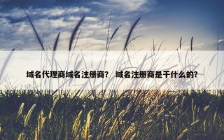 域名代理商域名注册商？ 域名注册商是干什么的？