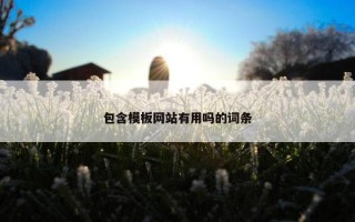 包含模板网站有用吗的词条