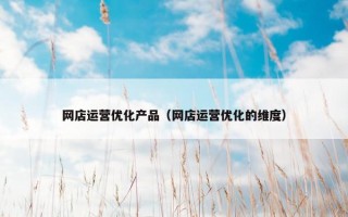 网店运营优化产品（网店运营优化的维度）