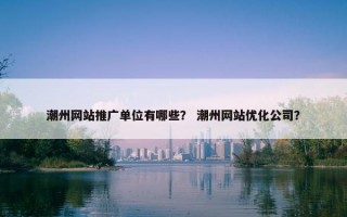 潮州网站推广单位有哪些？ 潮州网站优化公司？