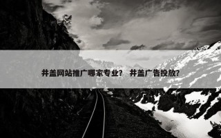 井盖网站推广哪家专业？ 井盖广告投放？