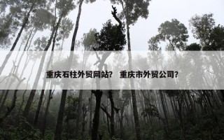 重庆石柱外贸网站？ 重庆市外贸公司？